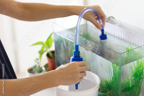 水槽の砂利掃除と水換えをしている女性の手元