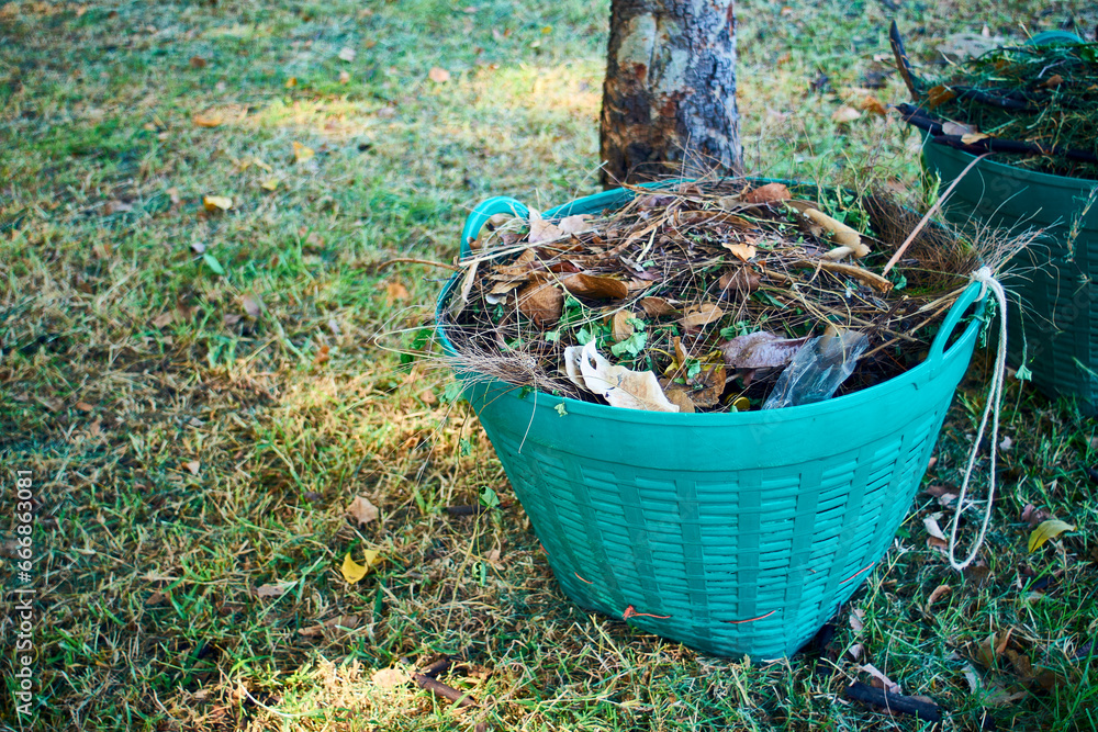 Obraz premium Grass clippings collected in the field