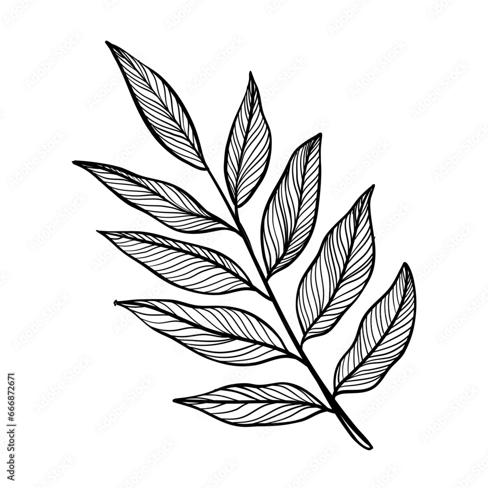 leaf  handdrawn textured 
