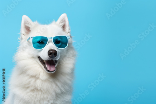 A stylish dog in trendy sunglasses on a bold, isolated light blue backdrop. Embrace the fun and fashion of pet glamour is AI Generative.