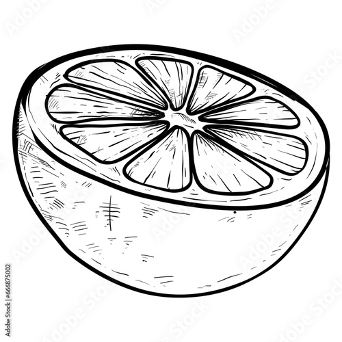 orange slice handdrawn 