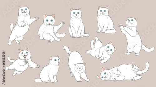 Cute Cartoon white Cat set	