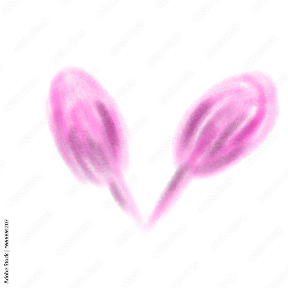 pink tulip isolated on white pink tulip isolated on white