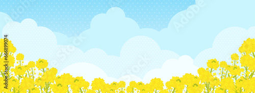 満開の菜の花と青空の風景（バナー向け横長）