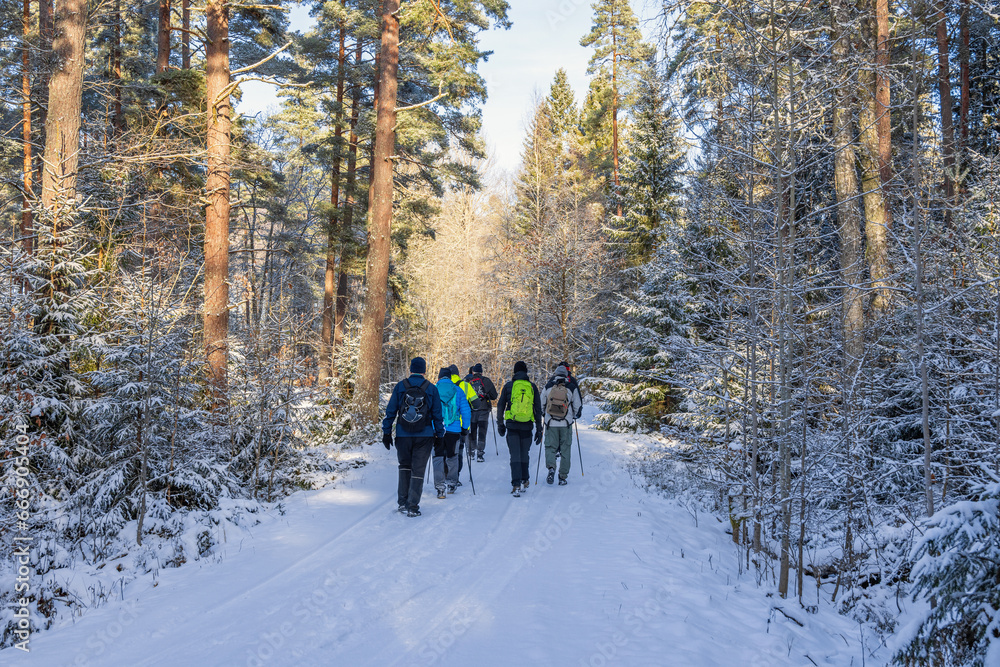 Men hiking on a snowy road in the forest