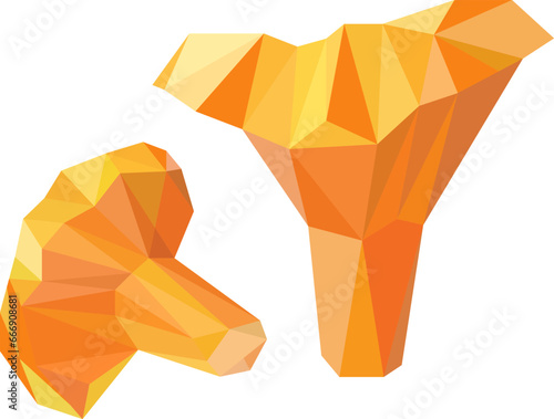 geometric triangle chanterelles