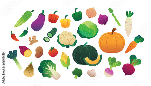 set of vegetables photo