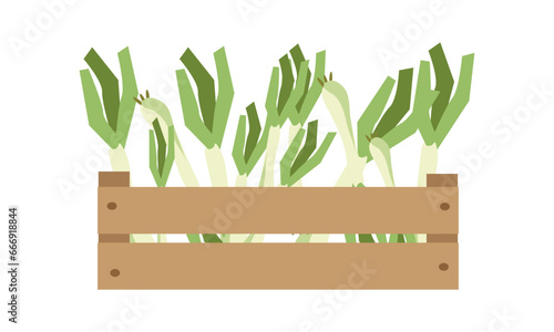 Vector illustration box with leek  isolate on white , harvesting autumn and summer vitamins, season vegetable ,healthy and tasty food, bio and eco. Illustration for different design uses .	