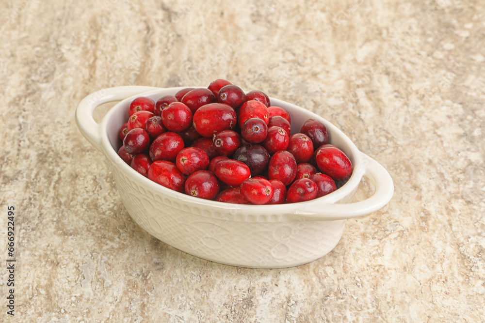 Ripe sweet tasty cranberry in the bowl Ripe sweet tasty cranberry in the bowl