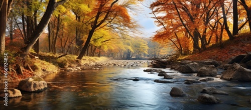 Autumn nature with forest river
