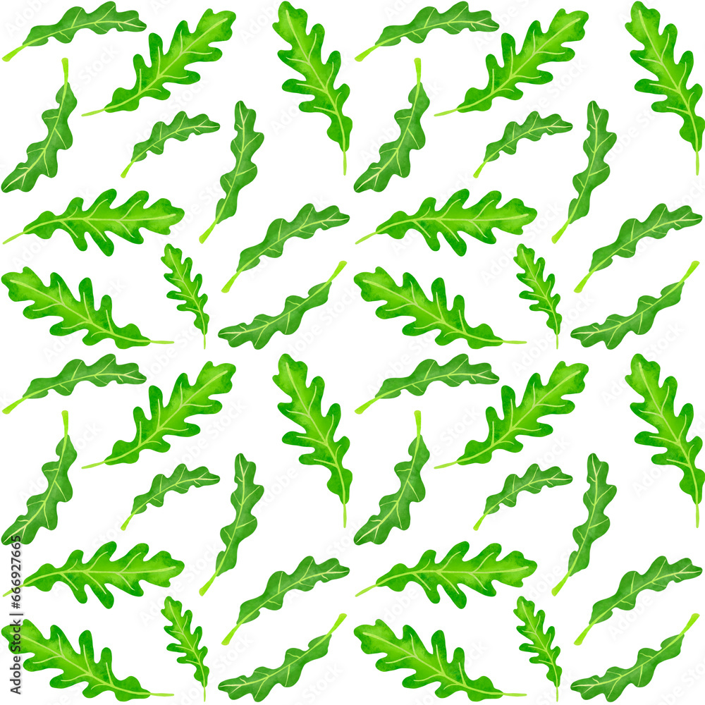 arugula salad menu green illustration. hand draw seamless pattern arugula salad menu green illustration. hand draw seamless pattern