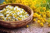 close-up of a handcrafted basket filled with dried chamomile flowers