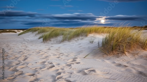 dune de sable et herbes sauvages la nuit au clair de lune