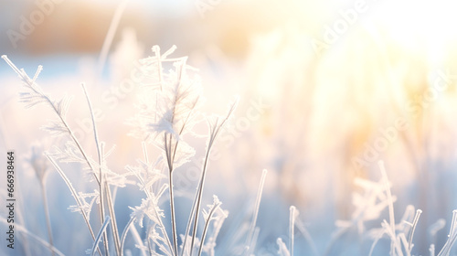 beautiful background of hoarfrost in nature