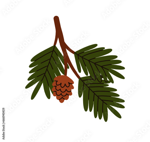 Fir tree branch. Spruce twig, conifer plant with green needles, wood cone. Wi...
