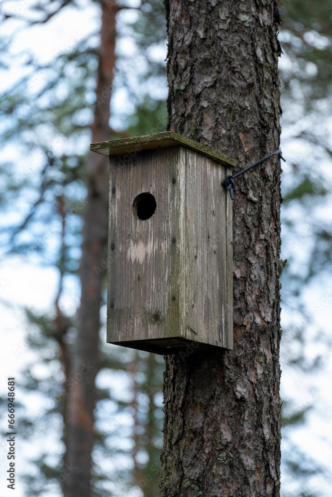 old birdhouse in a tree old birdhouse in a tree