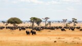 A savanna with herds of wild animals roaming