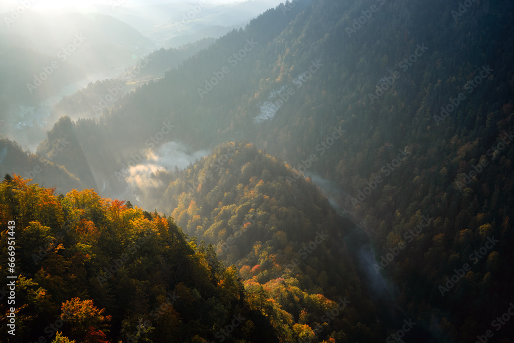 Obraz premium fog in the mountains
