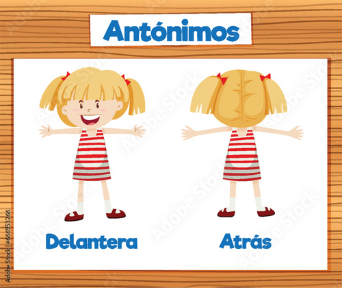 Antonym Word Card: Delantera and Atras in Spanish means front and back