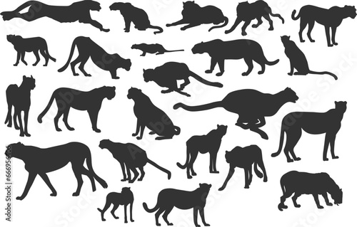 set of cheetah silhouette