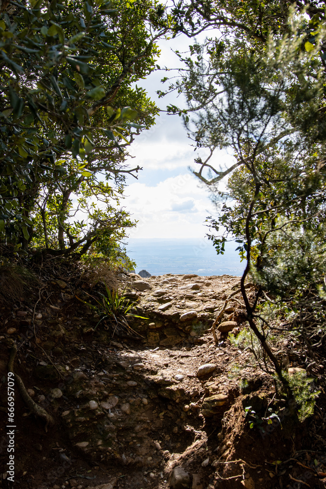 Entrada a una vista panoramica entre los arboles Entrada a una vista panoramica entre los arboles