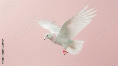 dove of peace , bohemian aesthetic pastel tones and simplicity, decoration, ,wedding theme background. © HappyTime 17