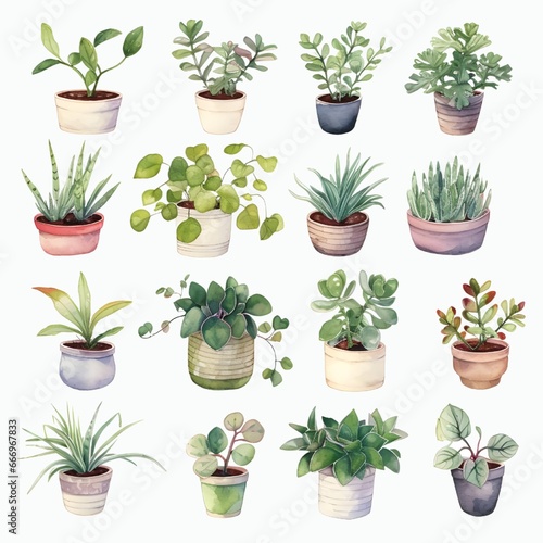 Houseplants watercolor collection on white background. 