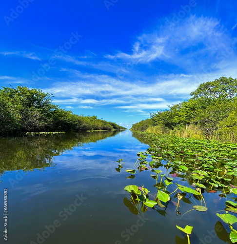 parc national des Everglades photo