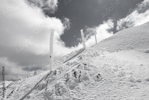 ice desert photo