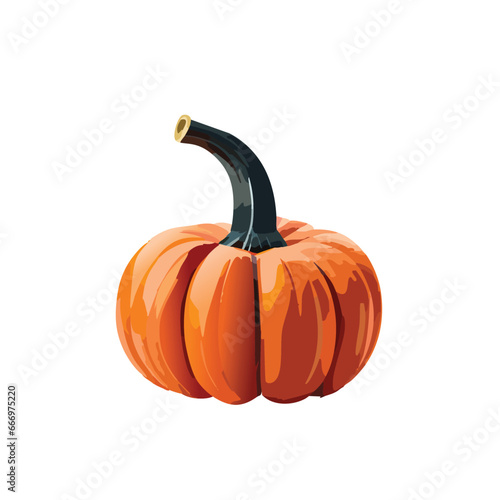 pumpkin isolated on white