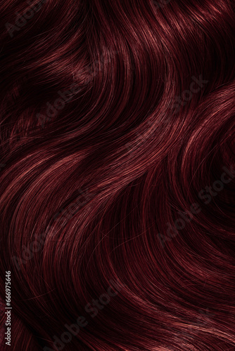 Dark red hair close-up as a background. Women s long brown hair. Beautifully styled wavy shiny curls. Coloring hair with bright shades. Hairdressing procedures  extension.