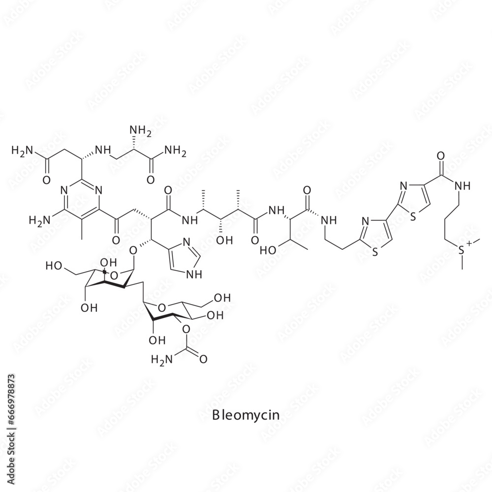 Bleomycin  flat skeletal molecular structure DNA Replication Inhibitor drug used in Hodgkin's lymphoma treatment. Vector illustration scientific diagram.