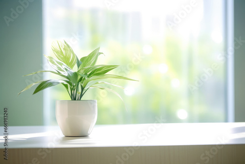 Green flower in a pot on a table in a modern room, bright interior lighting, space for text