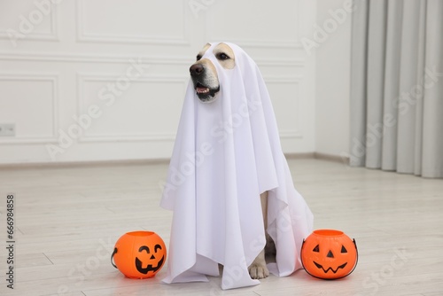Cute Labrador Retriever dog wearing ghost costume with Halloween buckets indoors © New Africa