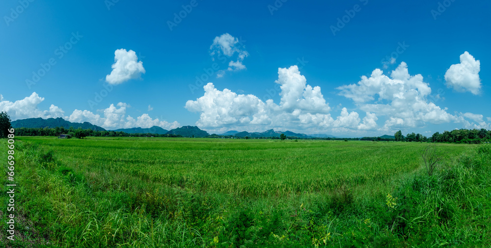 Blue sky and mountains and rice fields Blue sky and mountains and rice fields