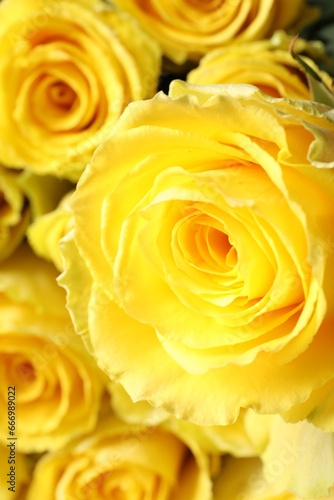 Beautiful bouquet of yellow roses  closeup view