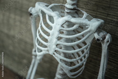 Human skeleton and bones body part, which is decorated for Halloween festive. Close-up and selective focus.