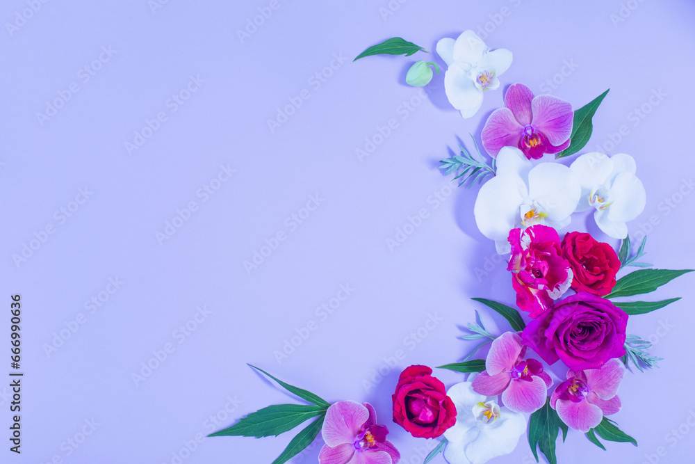pattern of summer flowers on color paper background pattern of summer flowers on color paper background