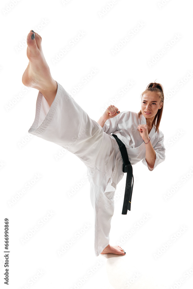 Master black belt Tae Kwon Do fighter in uniform show high kick pose isolated over white background. Master black belt Tae Kwon Do fighter in uniform show high kick pose isolated over white background.