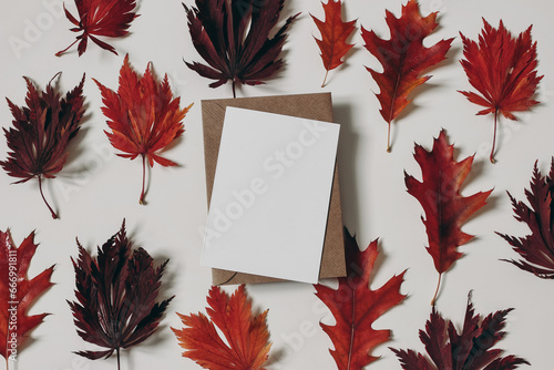 Autumn composition. Colorful red, crimson oak and maple leaves isolated on white background. Blank greeting card, invitation mockup for Halloween, Thanksgiving. Fall concept. Flat lay, top view.