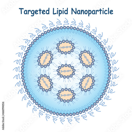 Targeted Lipid Nanoparticle Science Design Vector Design Illustration photo