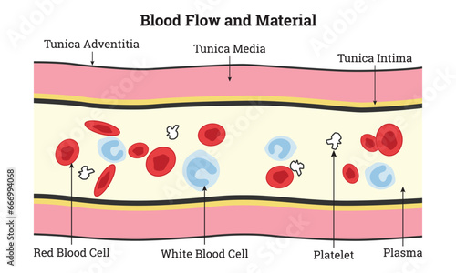 Blood Flow and Material Science Design Vector Illustration