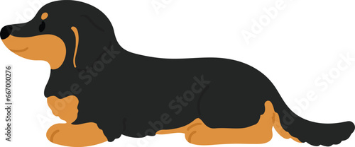 Simple and cute illustration of dark colored Miniature Dachshund lying down flat colored