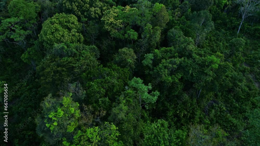 Amazon rain forest a destination many visitors would like to see but never will