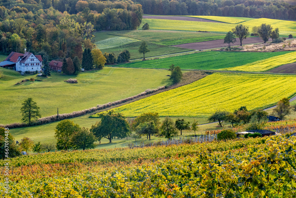 Obraz premium Agrarlandschaft im Herbst