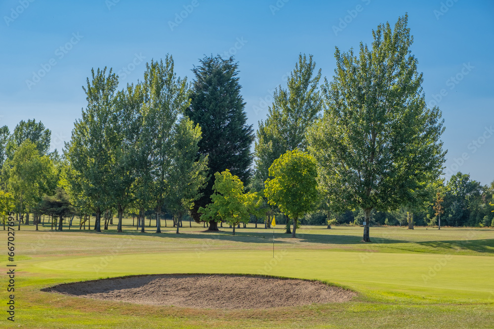 course with trees