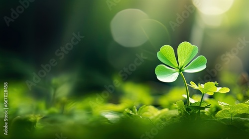  a four leaf clover in the middle of a green field. generative ai