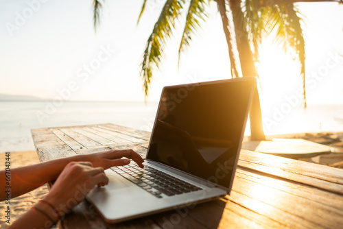 Freelancer girl with a computer among tropical palm trees work on the island in sunset photo