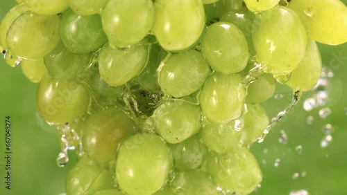 4K Slow Motion video of fresh green grapes being lifted out of water