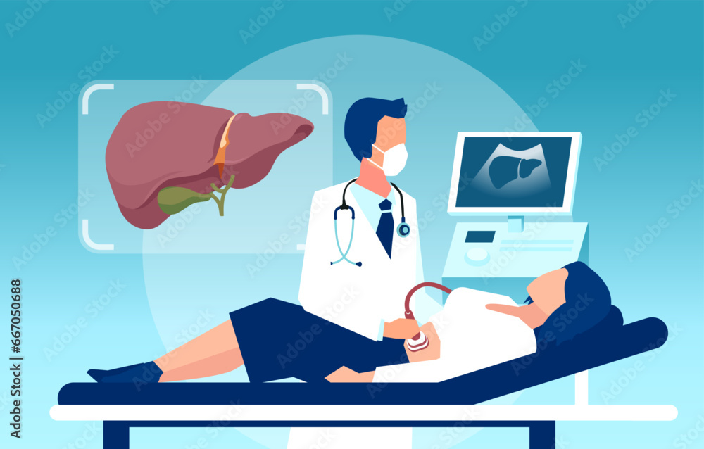 Vector of a patient in a clinic getting ultrasonography exam of the liver Vector of a patient in a clinic getting ultrasonography exam of the liver